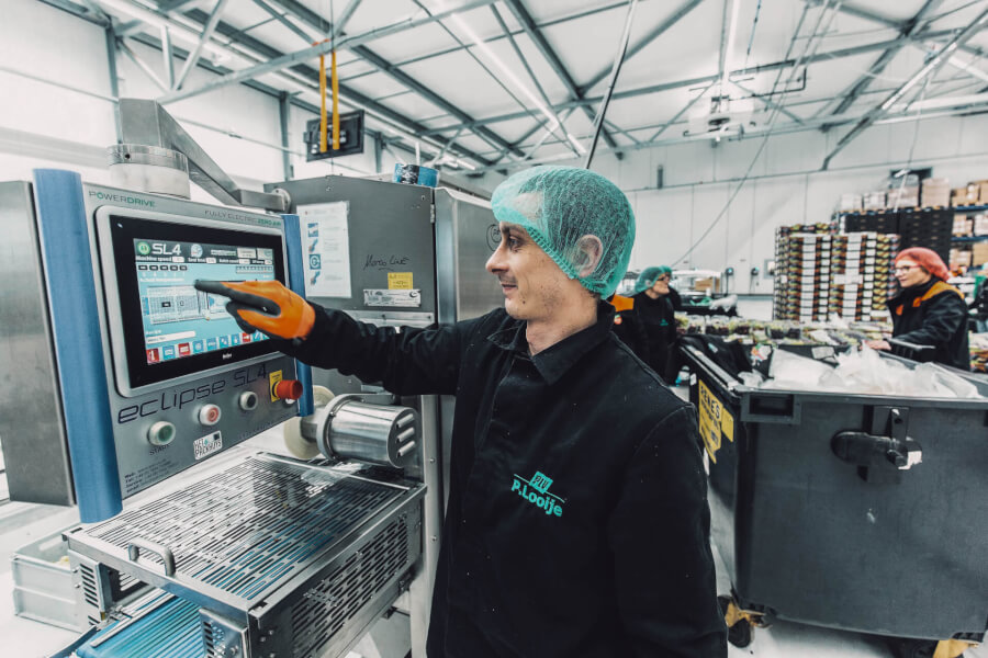 A Looije packing operator in a hairnet using a touchscreen control panel on a modern packing line